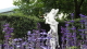 img0014.jpg