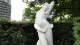img0019.jpg