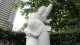 img0020.jpg
