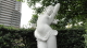 img0021.jpg