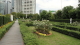 img0027.jpg