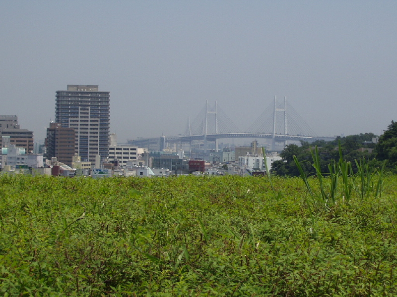 img0026.jpg