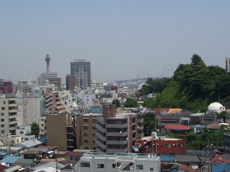 img0045.jpg