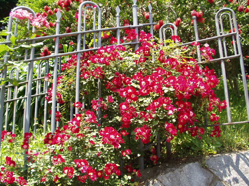 img0046.jpg