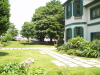 img0020.jpg