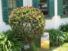 img0021.jpg