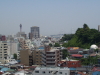 img0045.jpg