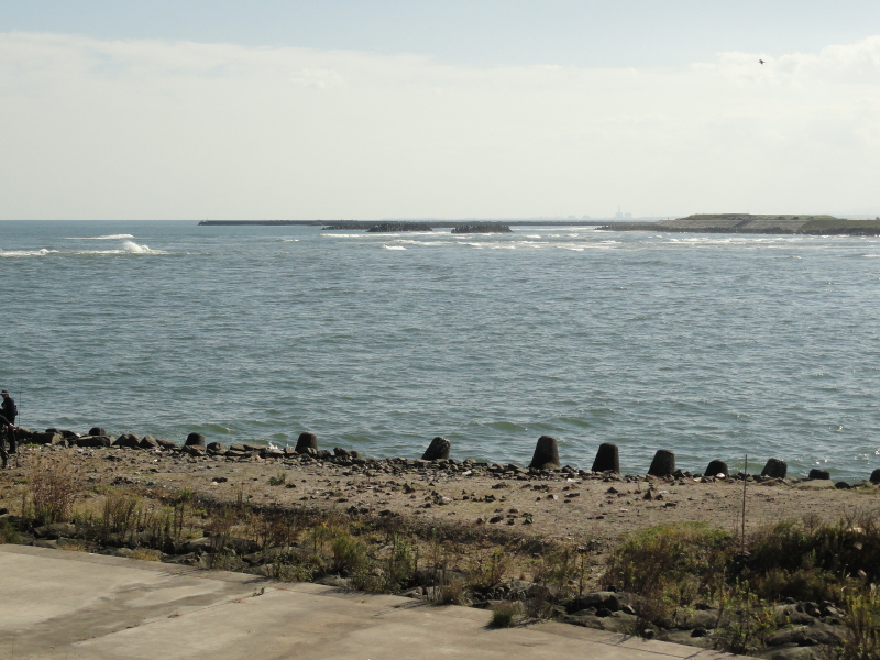 img0016.jpg