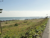 img0003.jpg