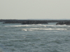img0015.jpg