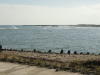 img0016.jpg