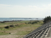 img0024.jpg