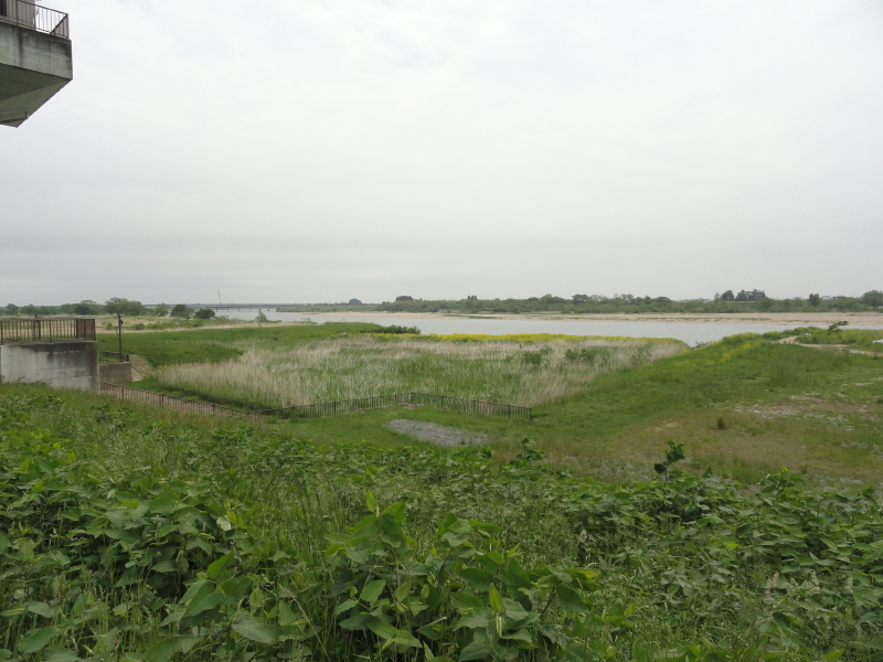 img0007.jpg