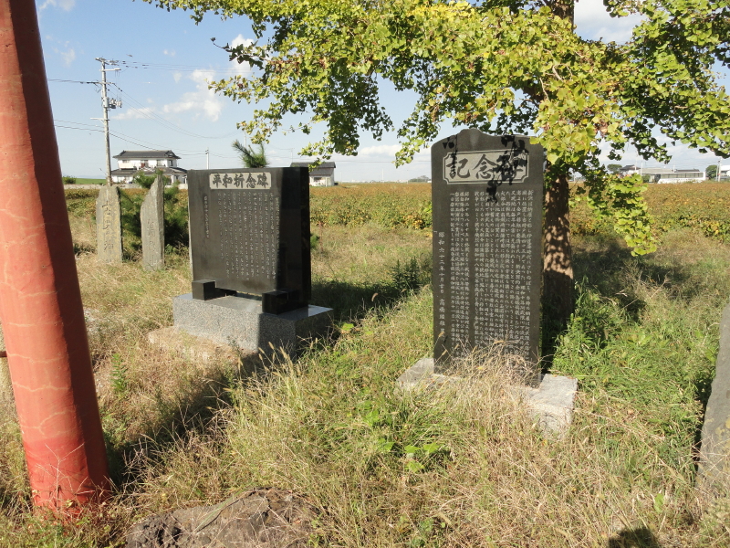 img0001.jpg