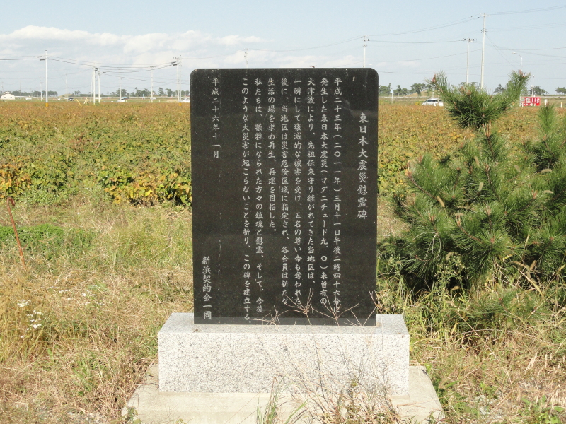 img0003.jpg
