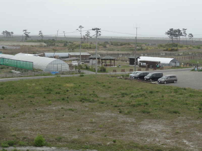 img0006.jpg