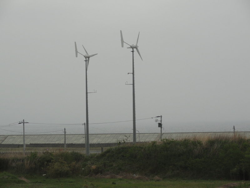 img0007.jpg