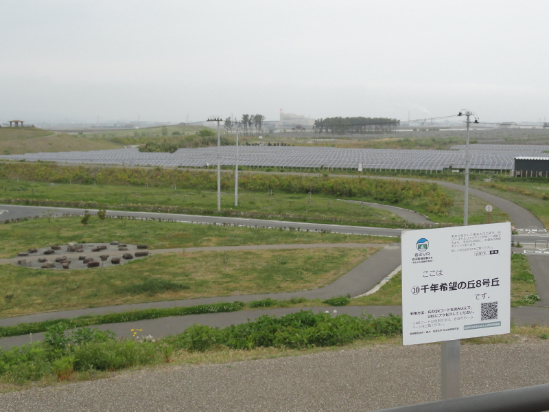 img0009.jpg
