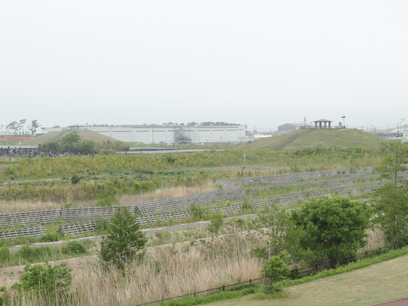 img0053.jpg