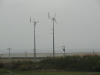 img0007.jpg