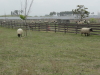img0016.jpg