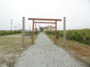 img0034.jpg