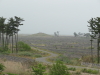img0052.jpg