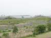 img0053.jpg