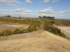 img0013.jpg