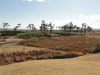 img0017.jpg
