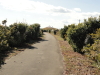 img0001.jpg