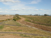 img0014.jpg