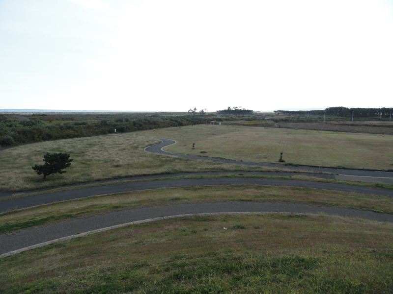img0010.jpg