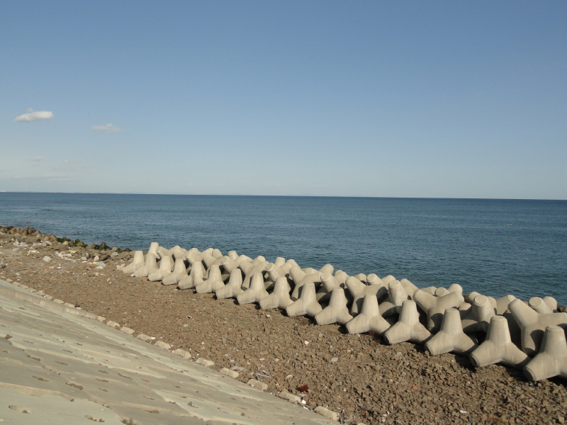 img0049.jpg