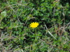 img0017.jpg