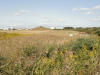 img0039.jpg