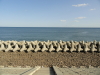 img0048.jpg