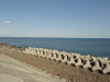 img0049.jpg