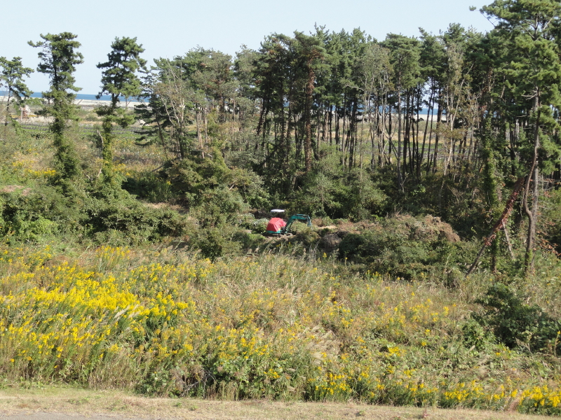 img0017.jpg