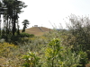 img0004.jpg