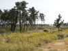 img0007.jpg