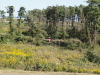 img0017.jpg