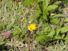 img0021.jpg