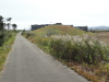 img0003.jpg