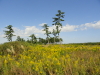 img0031.jpg