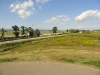 img0006.jpg