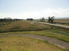 img0008.jpg