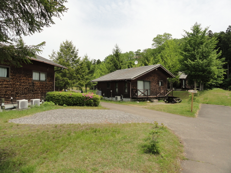 img0005.jpg