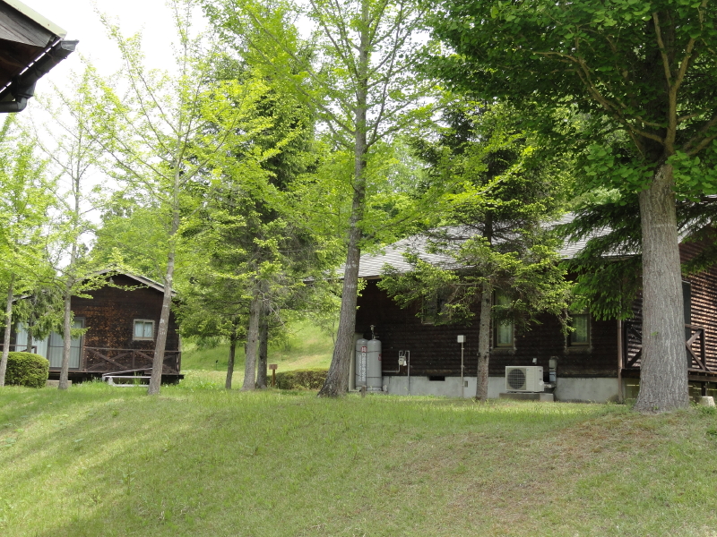 img0006.jpg
