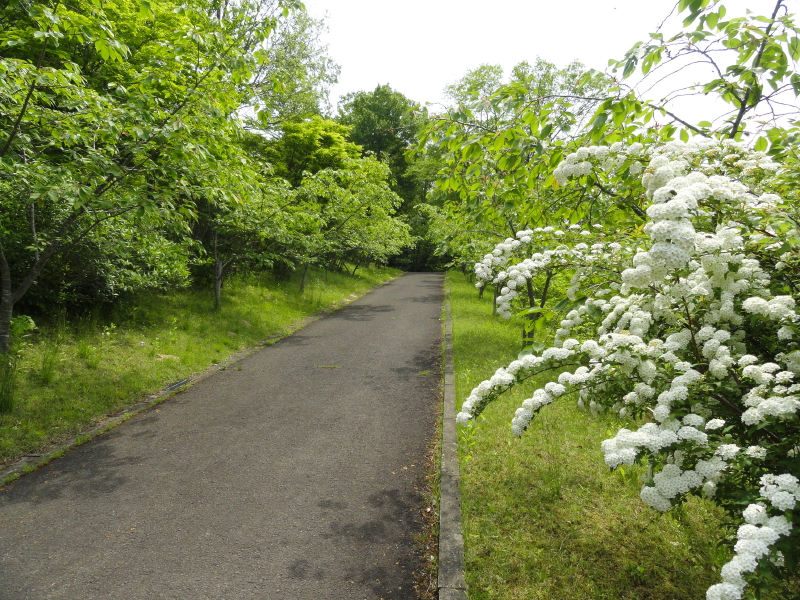 img0010.jpg